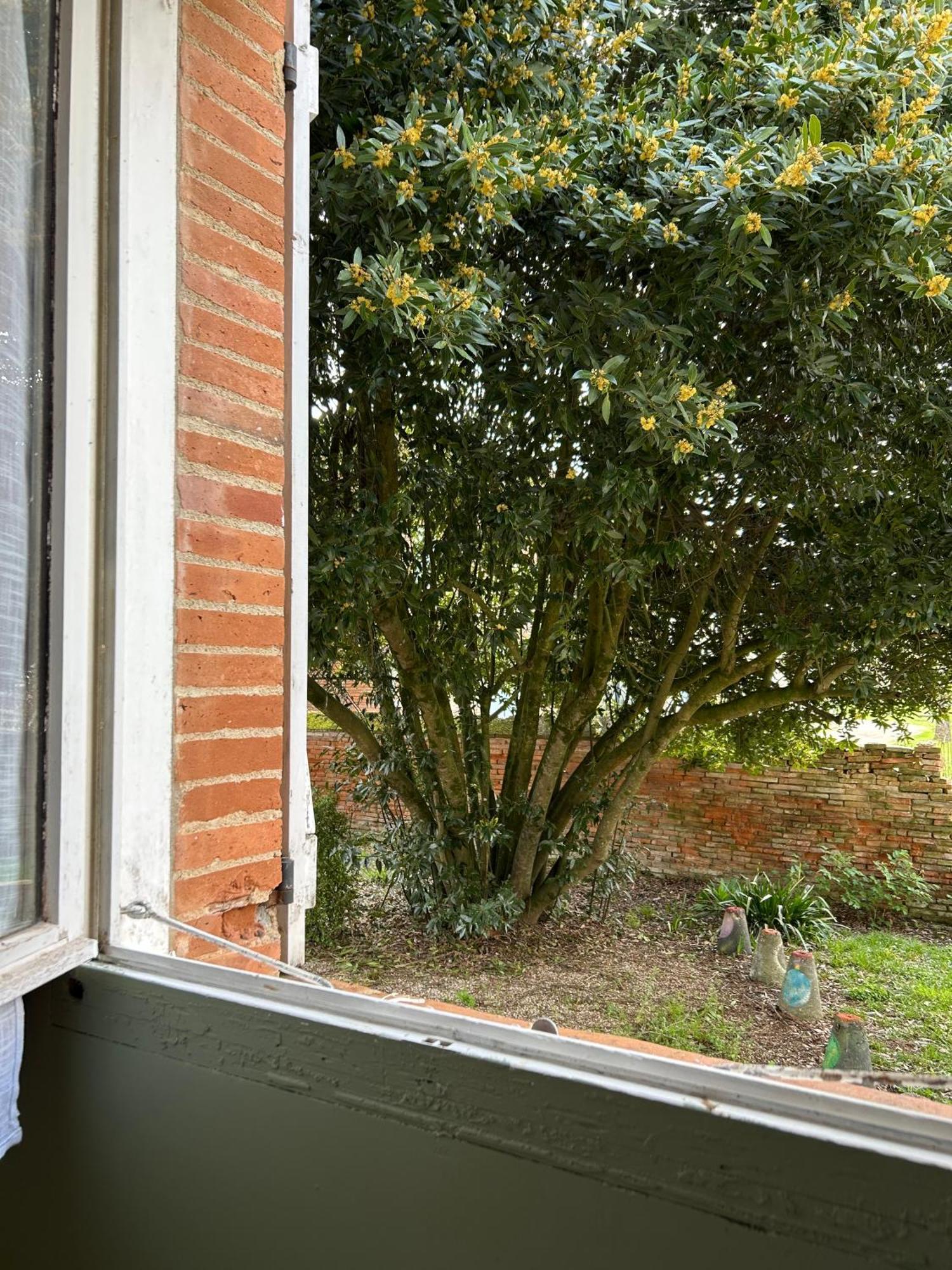 Manoir De La Gravette, Maison & Table D'Hotes Montauban Kültér fotó